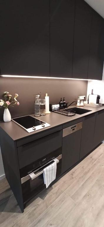 Fully equipped kitchen with induction hob, sink and dishwasher