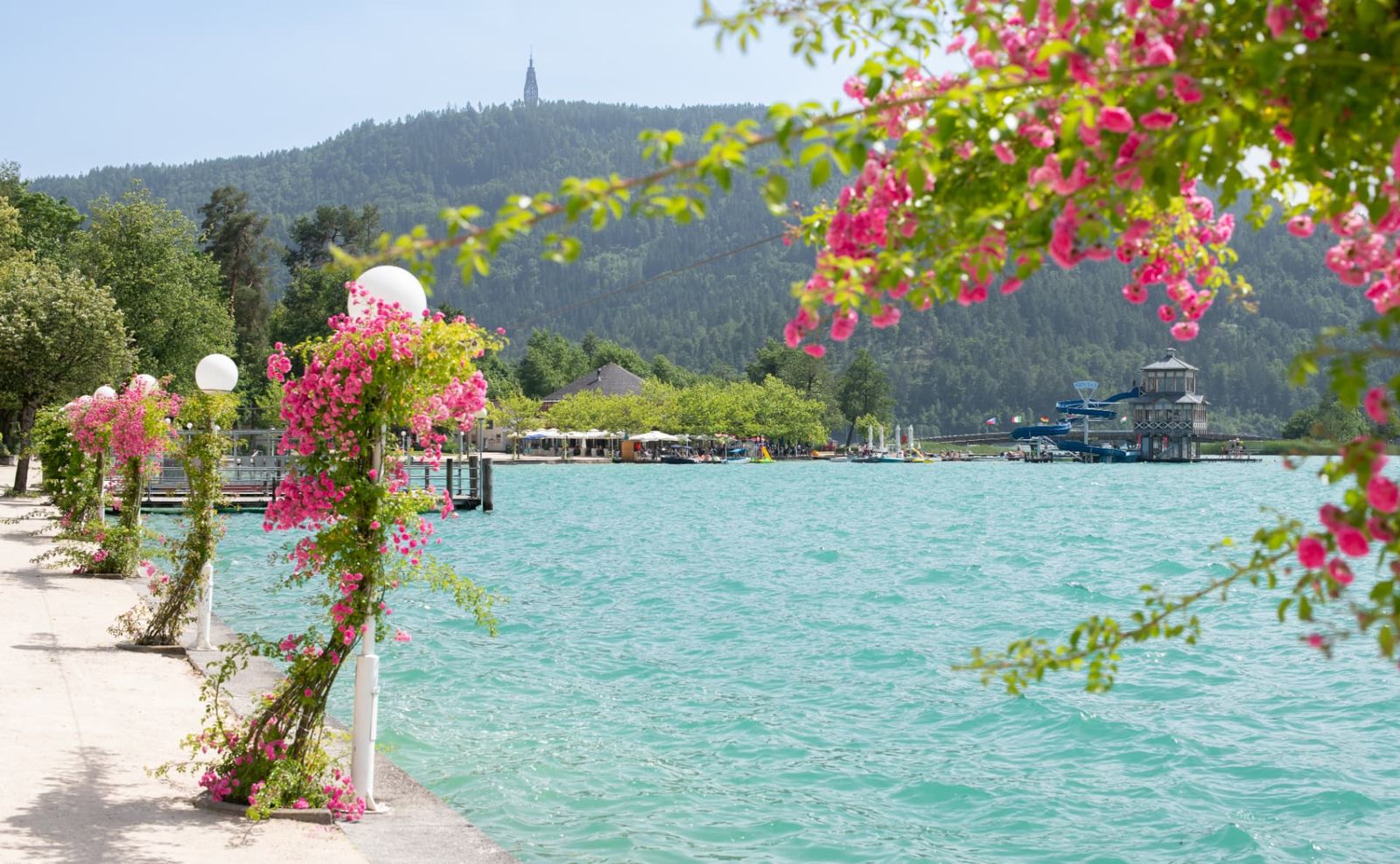 Blossoming flowers on the lakeside promenade with turquoise water and Pyramidenkogel behind